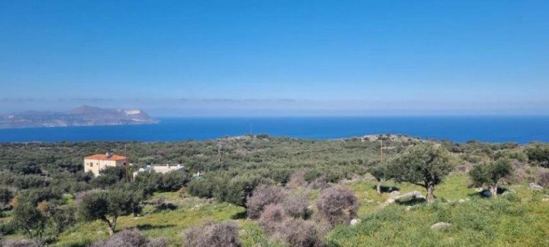 Kokkino Chorio Großes Grundstück mit Meerblick zum Verkauf in Kokkino Chorio Grundstück kaufen